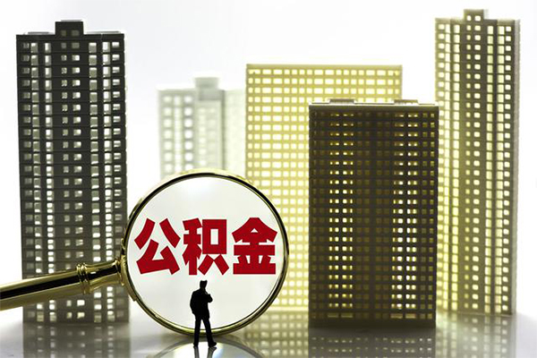 深圳19短期借款